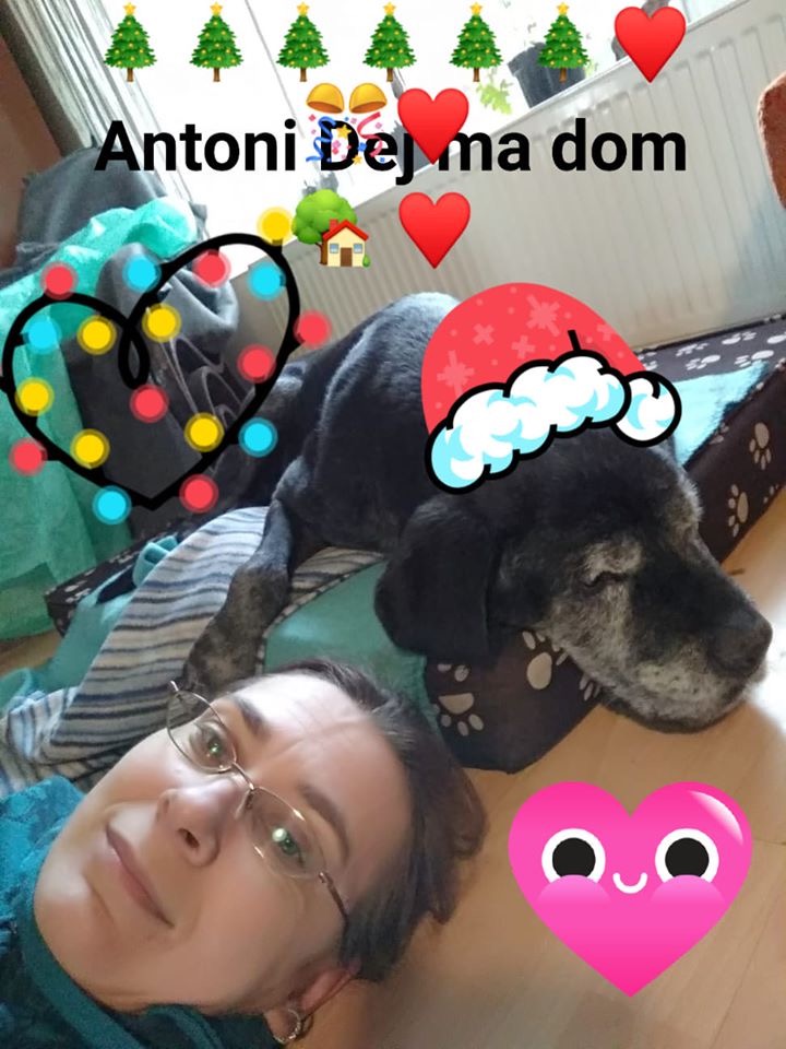 Magiczny Świąteczny czas ... Antoś został pełnoprawnym członkiem rodziny u Anetki u której był na hotelu - It must have been love ?❤️?❤️?