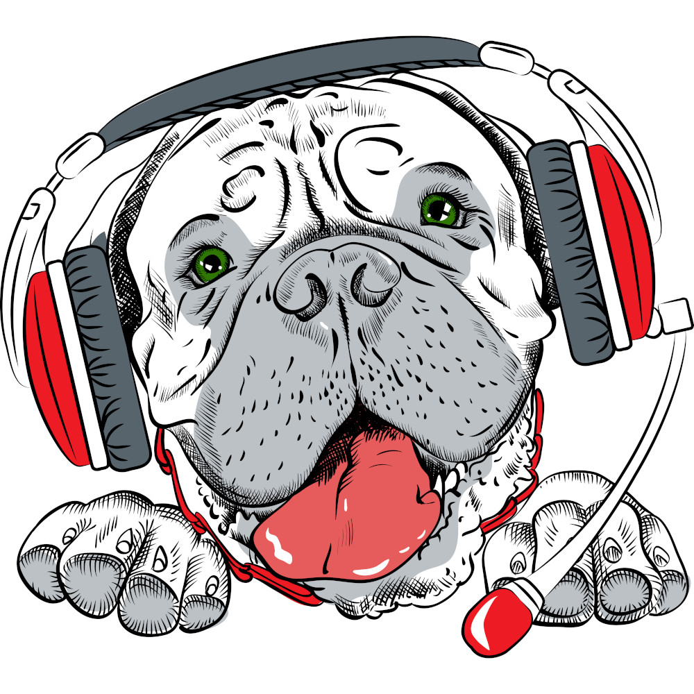 Psy rozumieją mowę jak człowiek. I są dużo starsze niż myślimy❤️