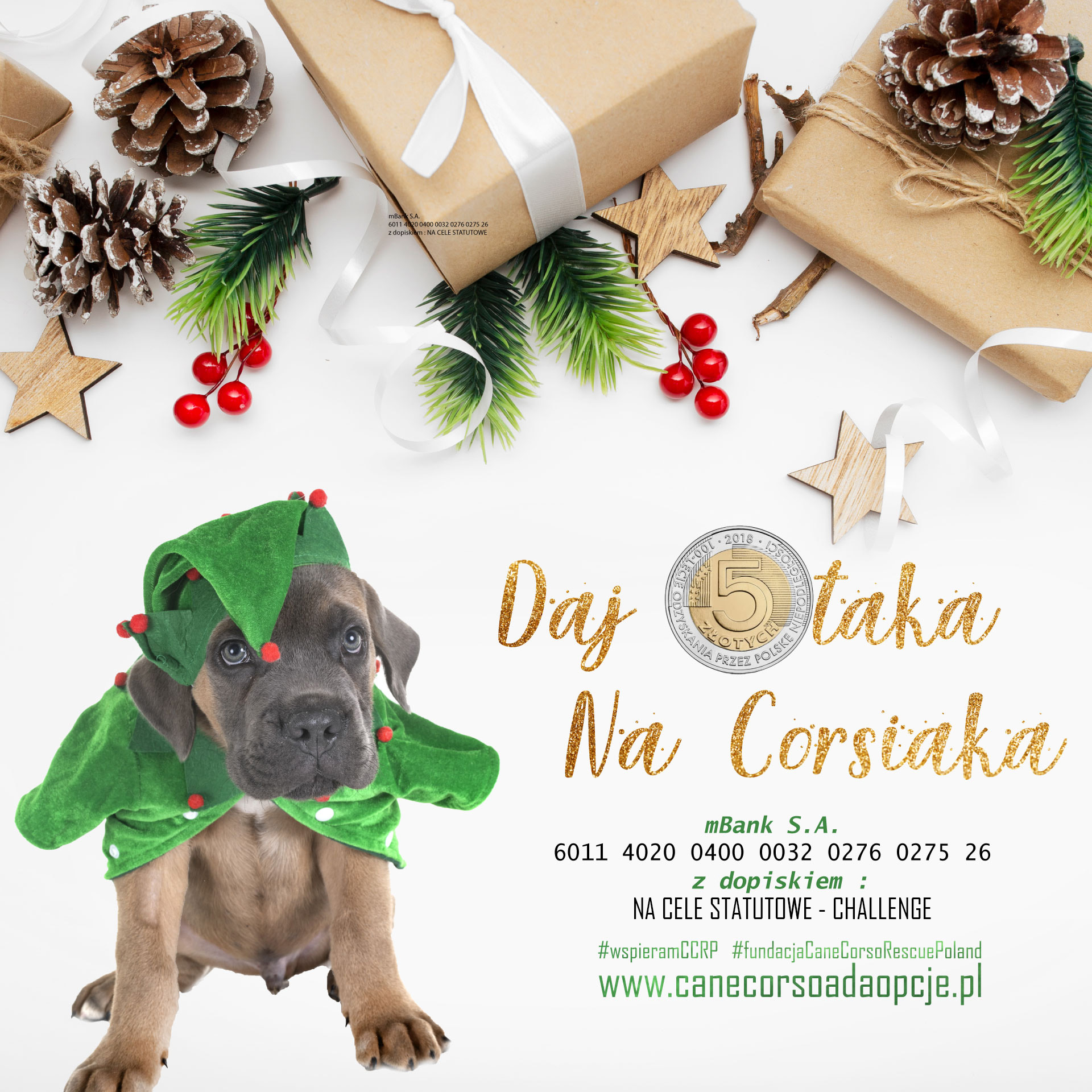 CORSOCHALLENGE - Daj 5-taka na Corsiaka