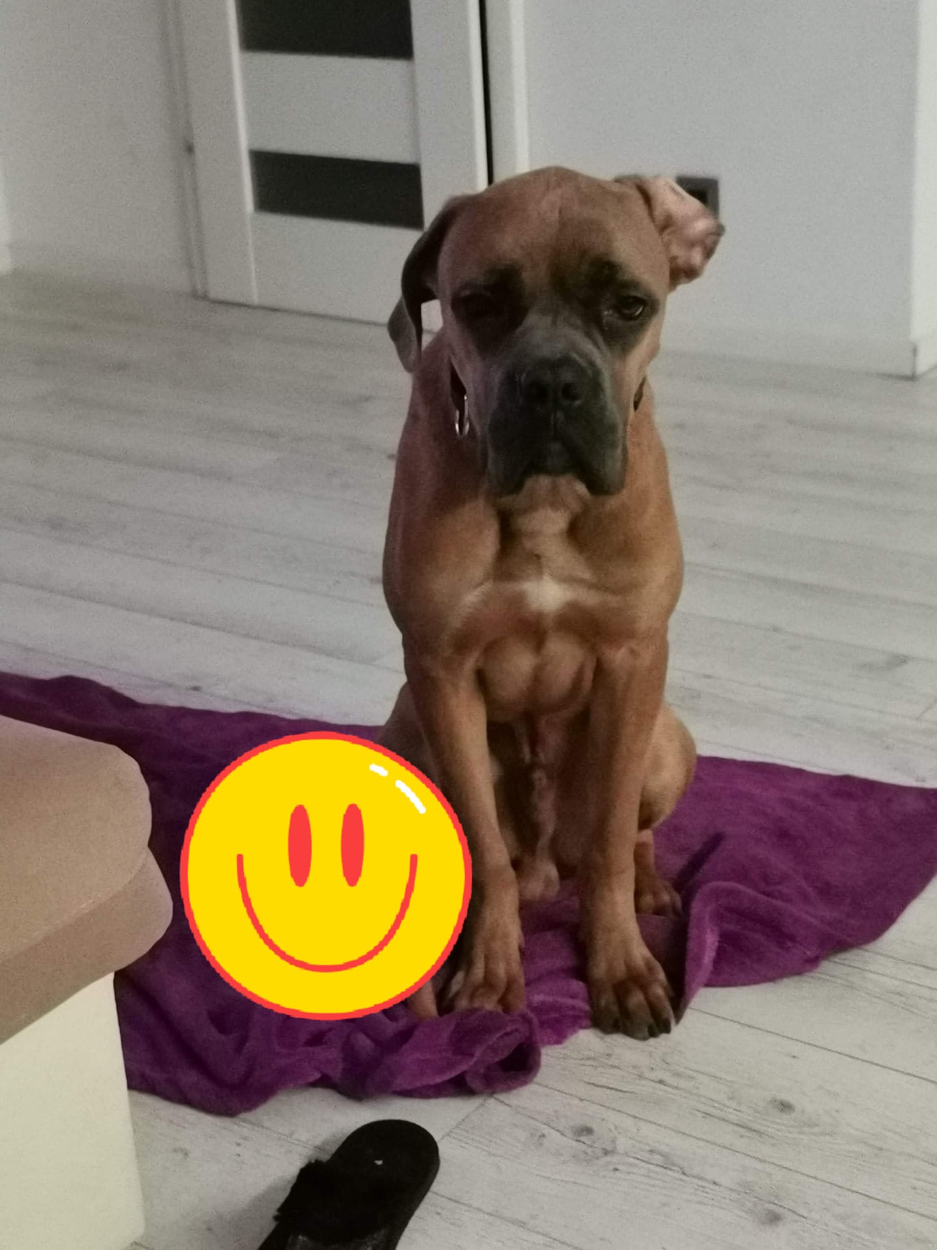 Azar szczylek miesięcy 9 - miesięczny do ujarzmienia ??