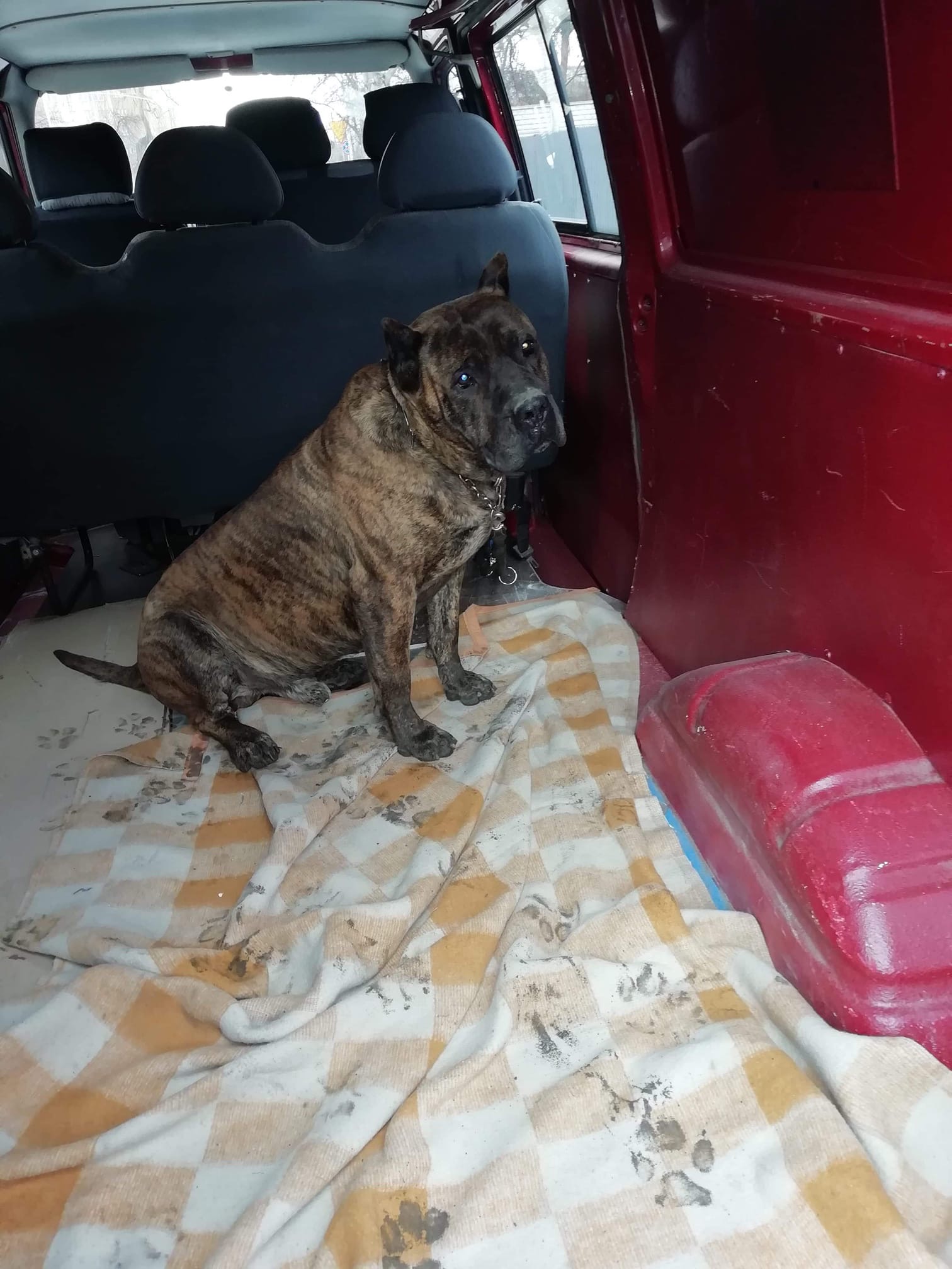 Fargo - scyzoryk spod Kielc ❤️