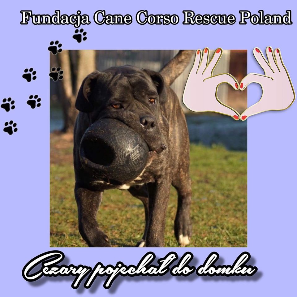 Cezary już wyjechał  od nas ?☺️?