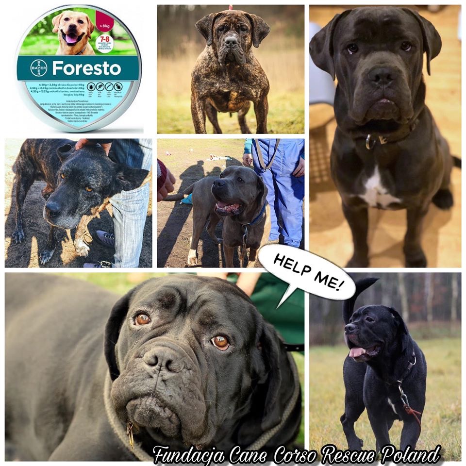 Prosimy Was pięknie o wsparcie ?????