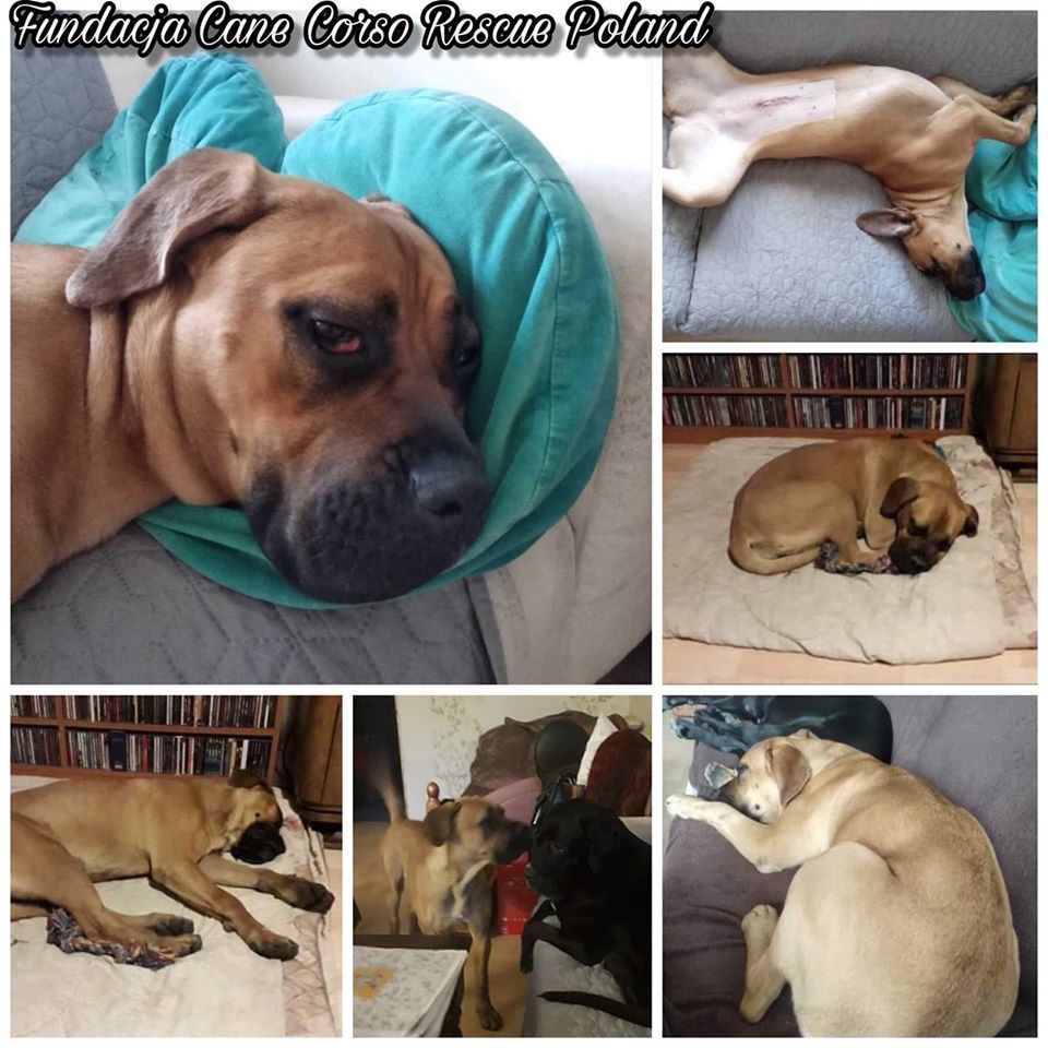 Mela nasze adhd na nowych włościach ❤️