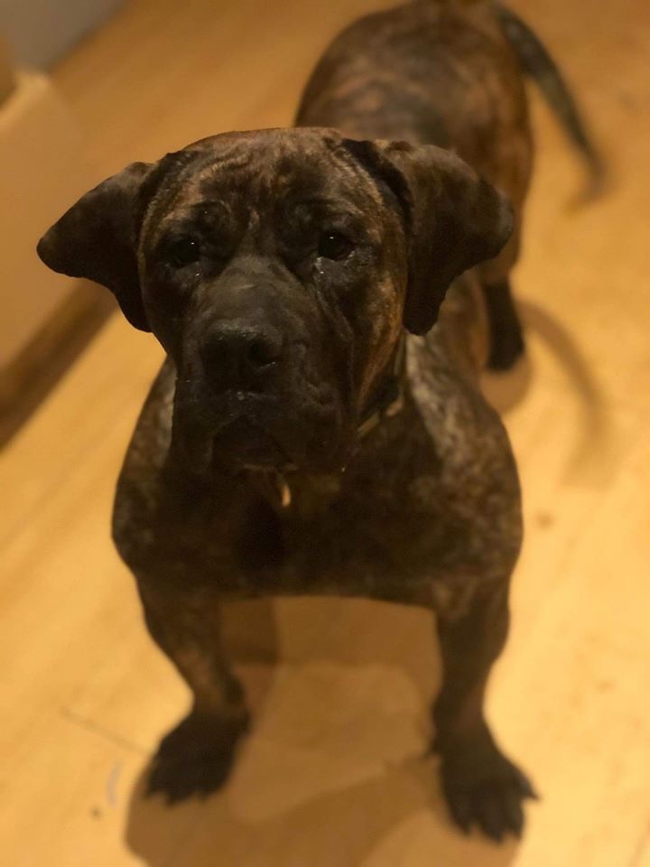 Fantazja śliczna dziewczynka ❤️ Taki mixiak 