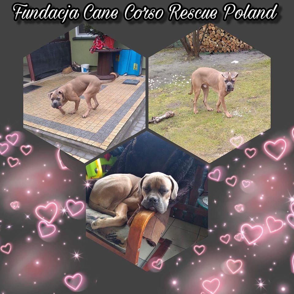 Azar nowy mieszkaniec Mińska ✊?