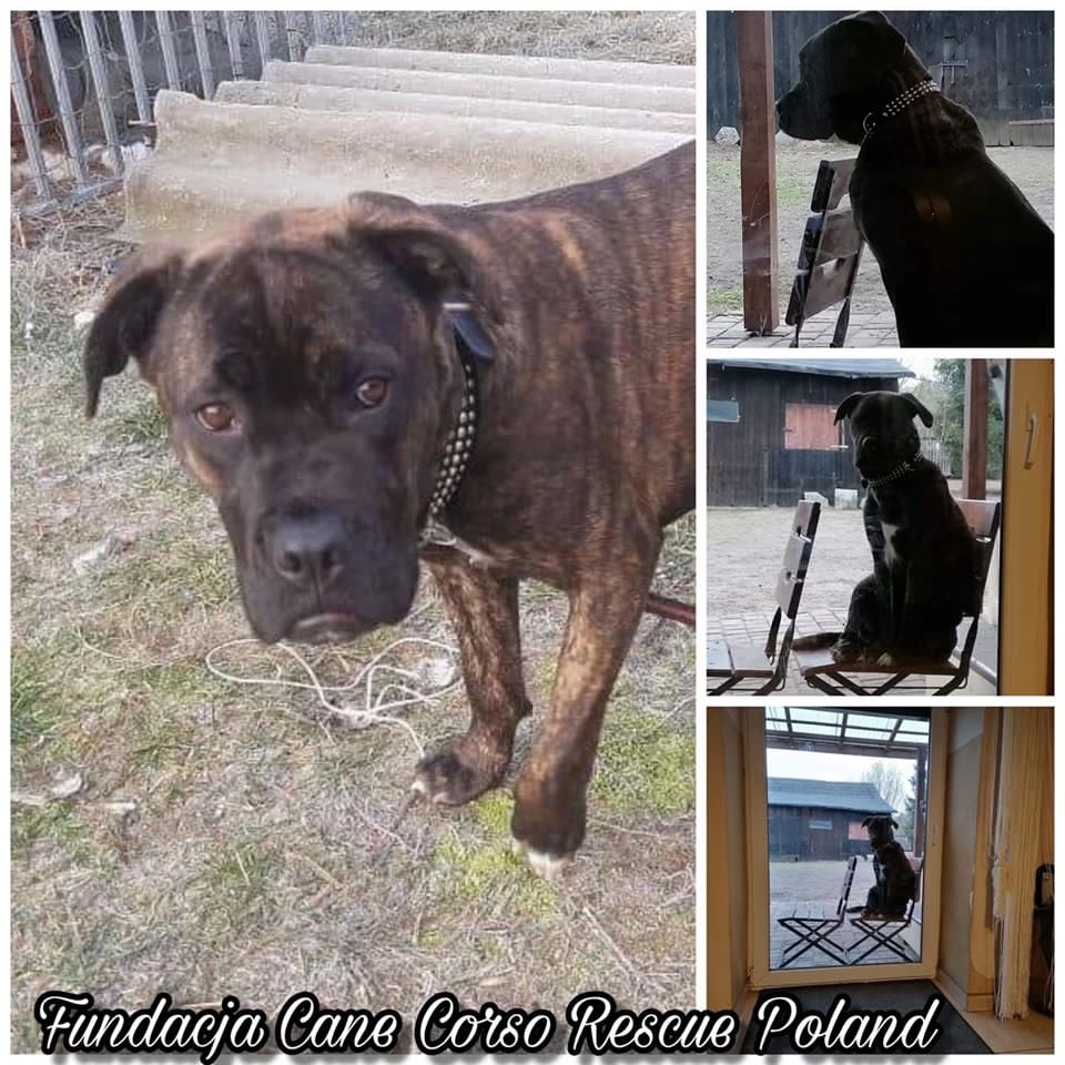 Lucy - dzieciak jeszcze - kto pokocha ?❤️