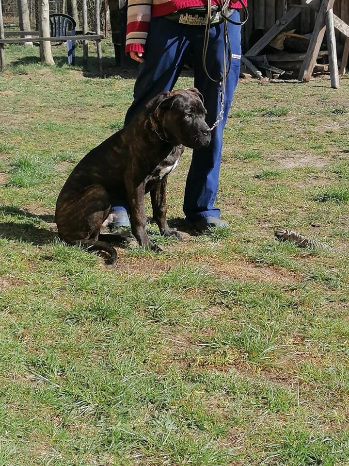 Boski szczylek jeszcze mały ?