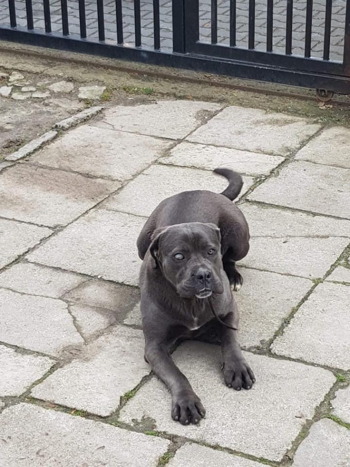 Dafne ... dziewczyna której na starcie nikt nie pomógł ?