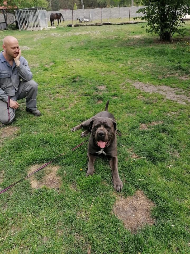 Hades ...kwint esencja corso ...❤️