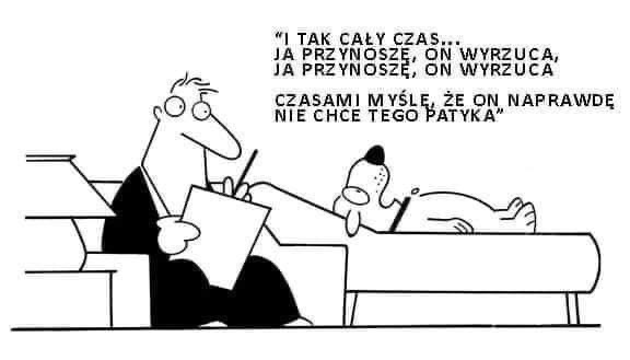 Pamiętajcie o potrzebach naszych psiaków?