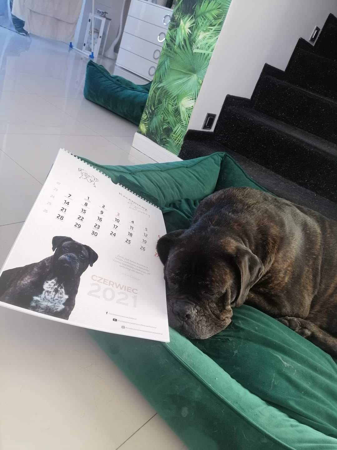 Wysyłamy kalendarze!