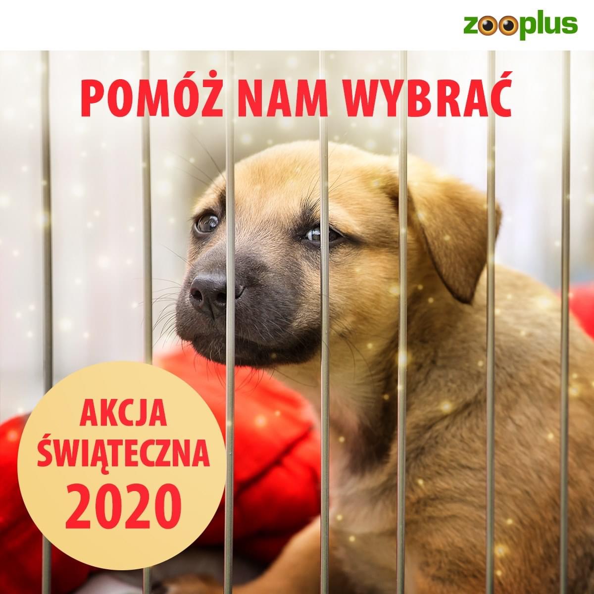 Prosimy zagłosujcie na nas ??