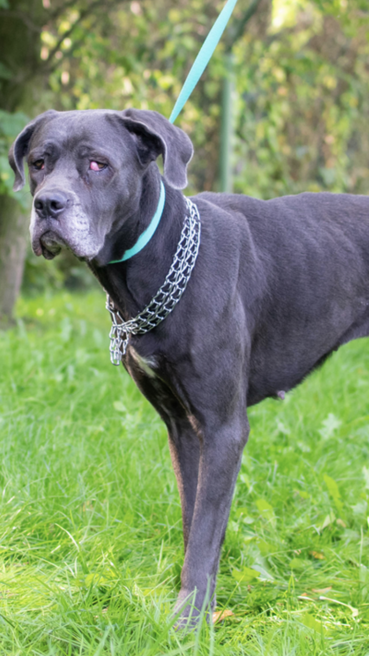 Sonia ... ?cichutka , zalękniona 