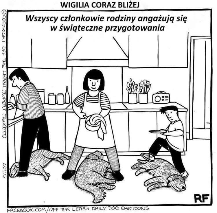 Kochani przedświątecznie wszystkie ręce na pokład ??☃️