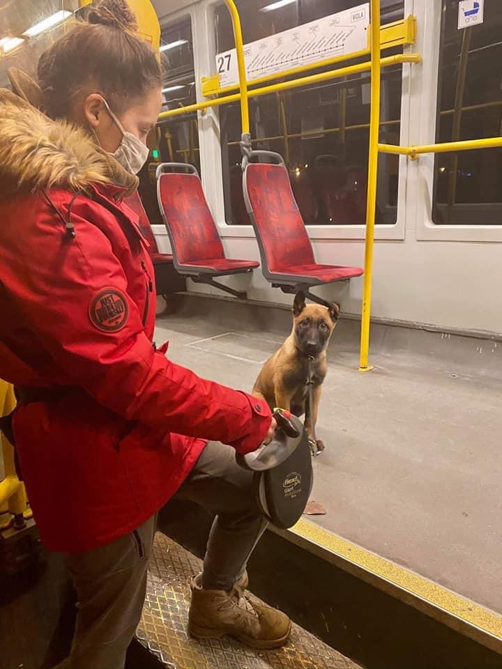 Socjal psa ... co się za tym kryje i jakie to jest ważne  ??