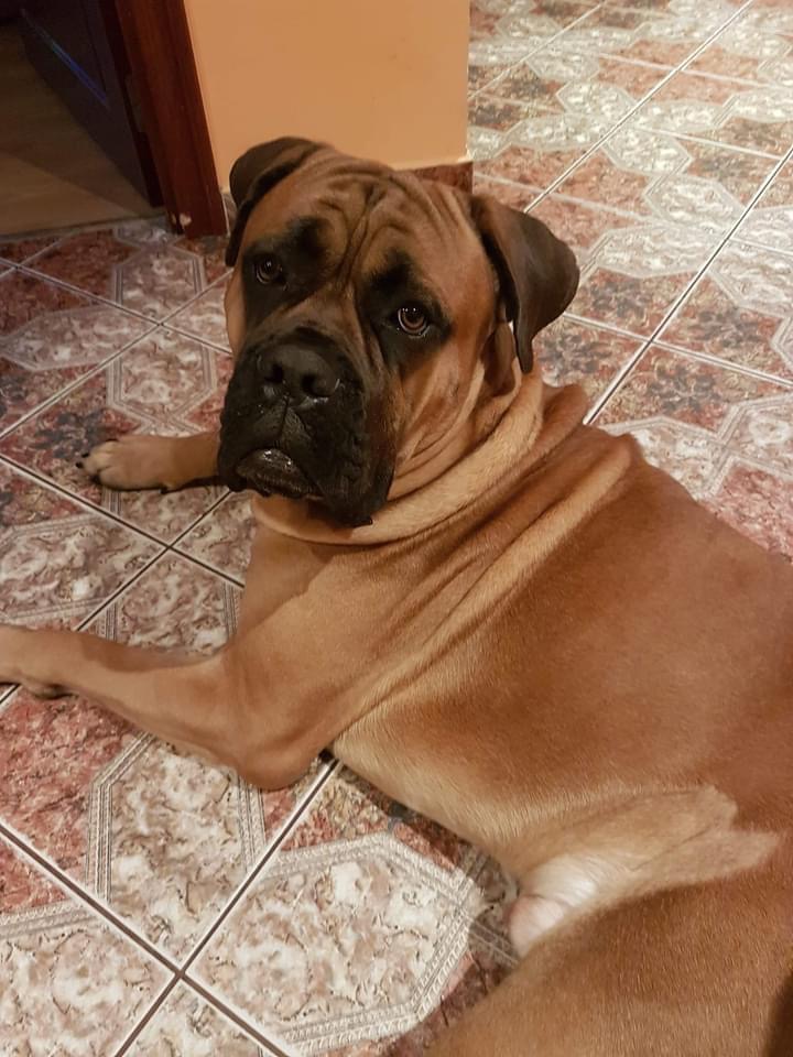 Globus - przyjechał  aby zacząć nowe życie - może z Tobą ?❤️