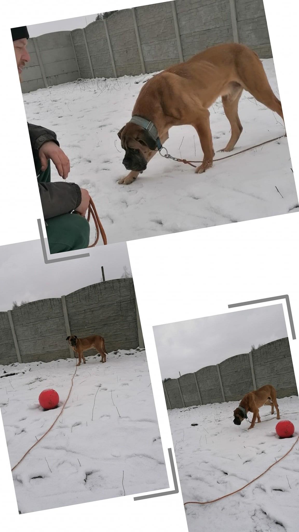 Aluś .... nie taki diabeł straszny jak go malowali ?