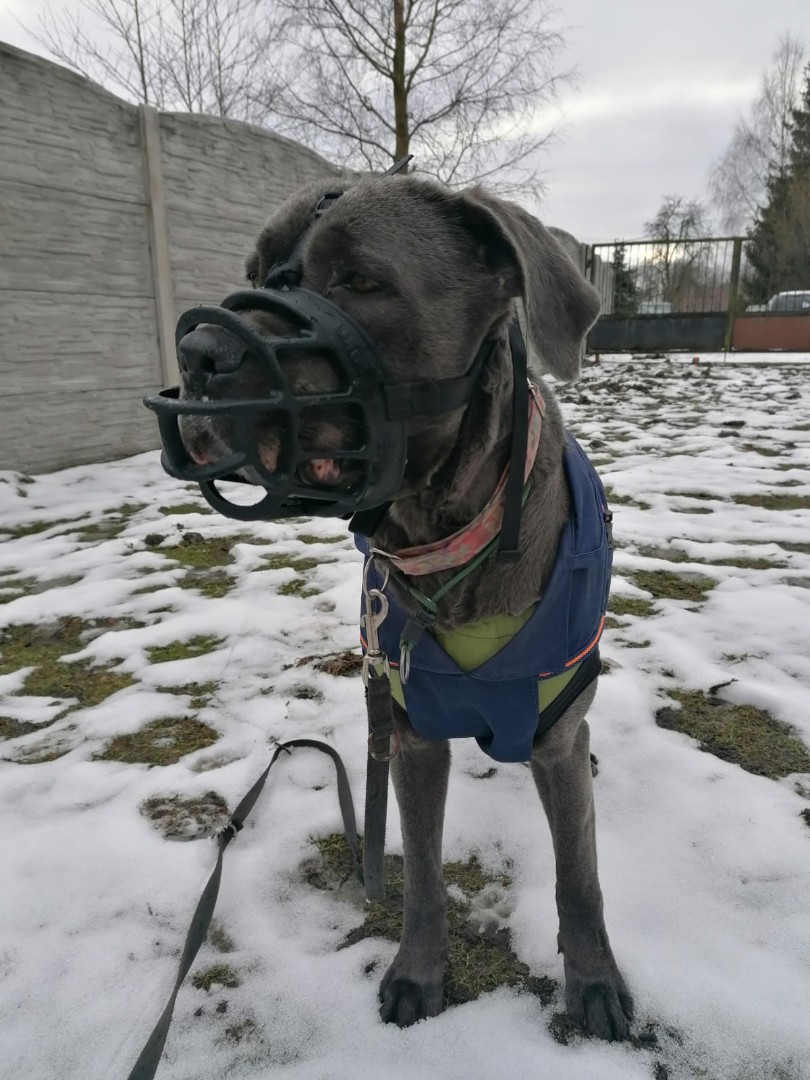 Shila - zaczyna powoli rozumieć świat ...?