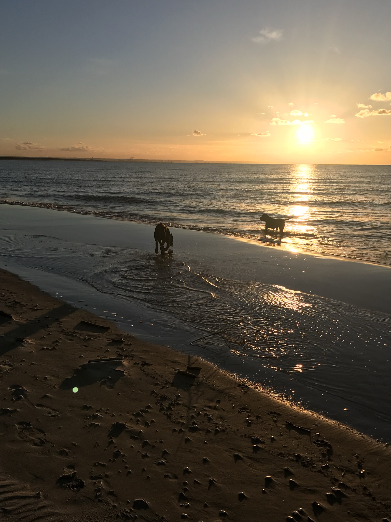 Gdzie pojechać z psiakiem ? ?❤️Podpowiadamy 