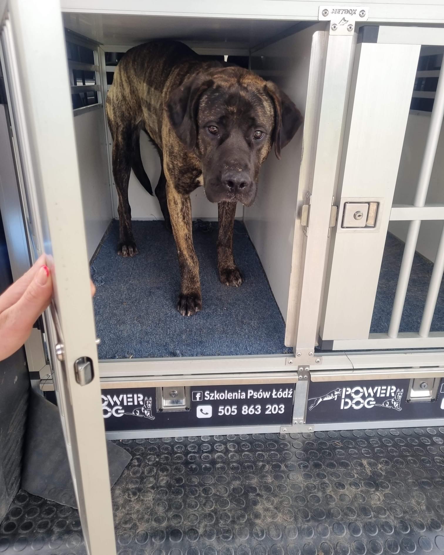 Ren - tak ją nazwaliśmy bo wg Egipcjan to kawałek duszy ❤️