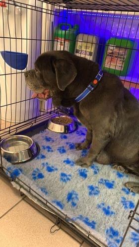 Busia na pokładzie ❤️