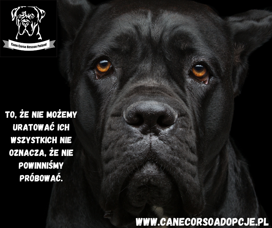 Wystarczy 1 zł a możesz odmienić ich życie.