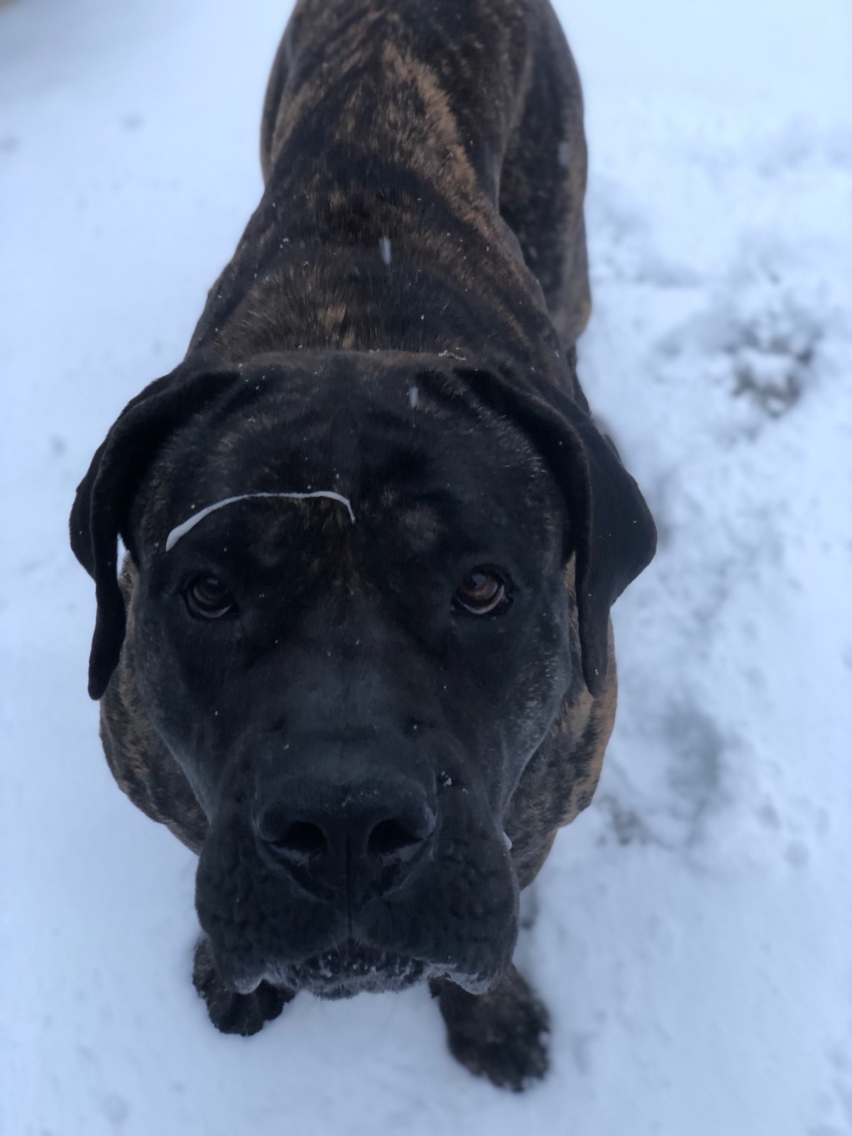 Wpuść do środka - to nic nie kosztuje